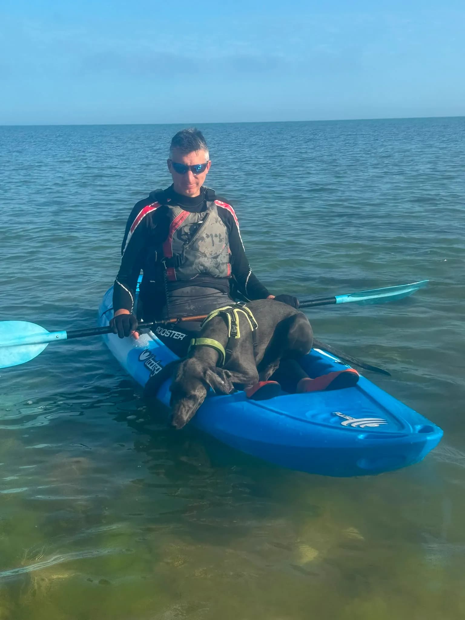 A man in a life vest and a gray dog wearing a yellow harness sit in a blue kayak on calm ocean water with a paddle resting across the kayak.